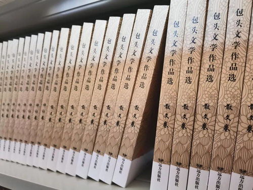 回眸 │我們這五年 包頭市文聯