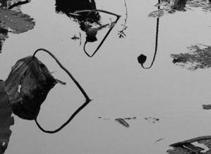 快速提升寫作能力的9個關(guān)鍵之處